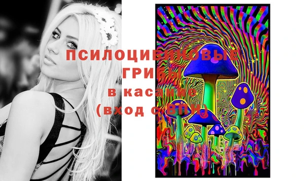трава Алексин