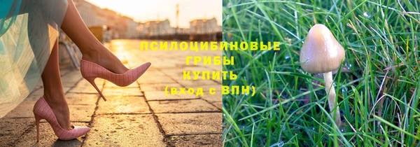 трава Алексин